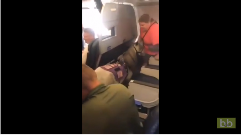 Une femme réussit à monter à bord d’un avion de ligne avec son poney !