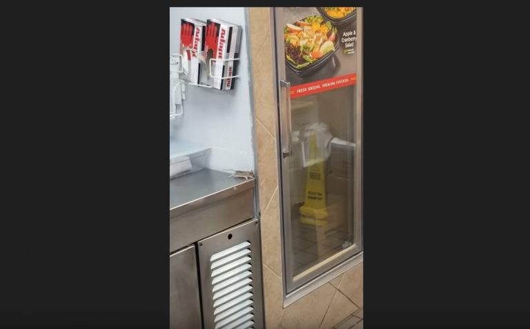 Une souris saute dans une friteuse dans FastFood