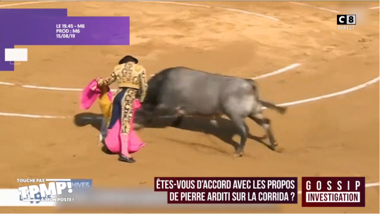 Pierre Arditi défend la corrida « Ce n’est pas une boucherie, c’est un art »