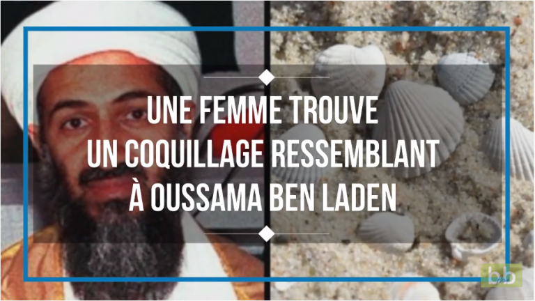 Une femme trouve un coquillage ressemblant à Oussama Ben Laden