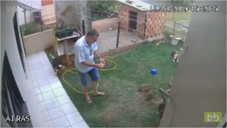 Un homme veut se débarrasser d’une fourmilière dans son jardin en utilisant de l’essence !! Faut être con…