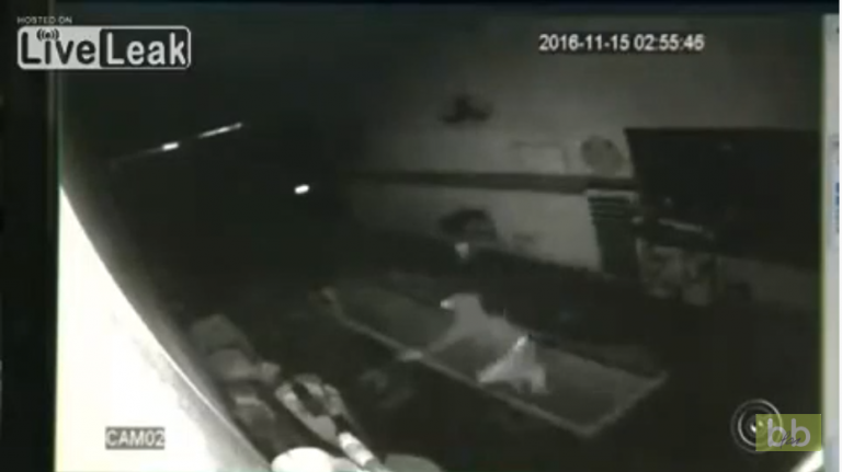Ce voleur tombe dans la fosse à huile en plein braquage d’un garage