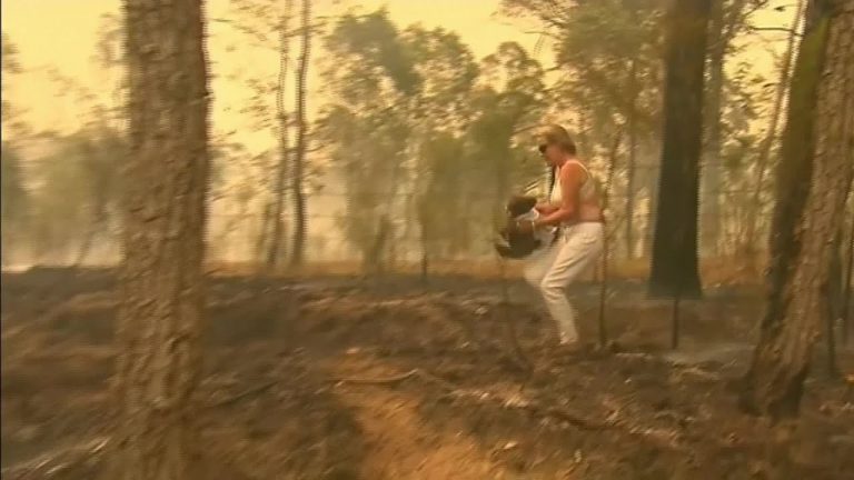 Cette femme a sauvé un koala piégé par les flammes en Australie