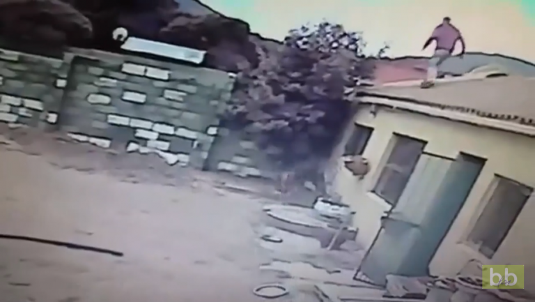 Un cambrioleur tombe sur une maison gardée par 2 chiens