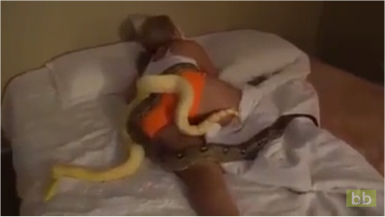 Elle se réveille avec 3 serpents dans le lit