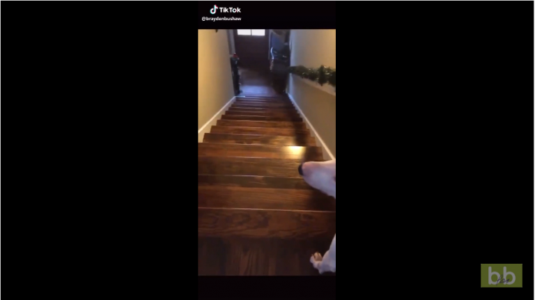 Un chien descend les escaliers à sa façon