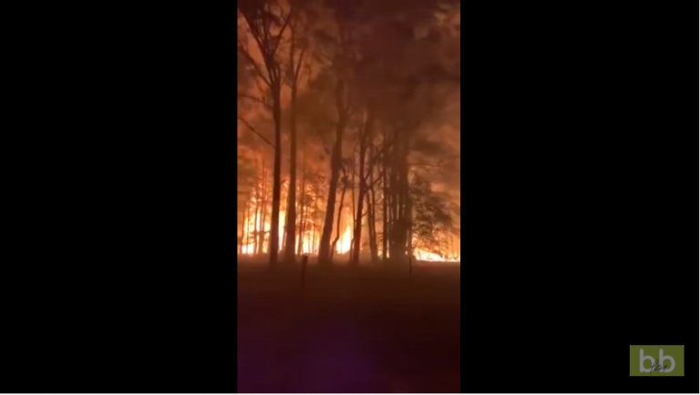 Le feu se propage à une vitesse phénoménale en Australie