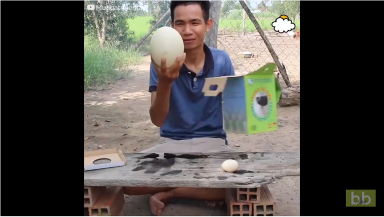 Un homme cuisine un œuf d’autruche énorme…