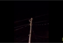 Un homme la mauvaise idée de grimper à un poteau électrique pendant une fête de quartier
