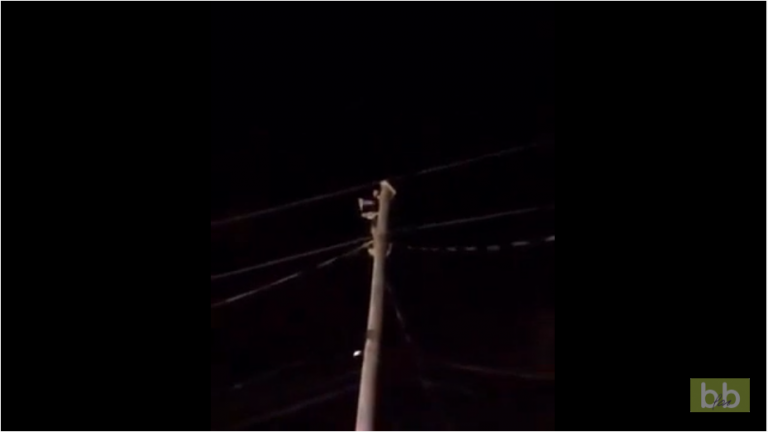 Un homme la mauvaise idée de grimper à un poteau électrique pendant une fête de quartier