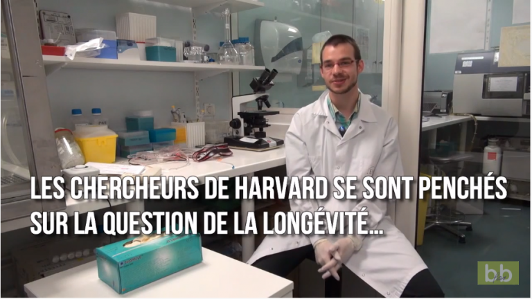 Harvard donne les 5 meilleures habitudes de vie pour vivre longtemps et en bonne santé