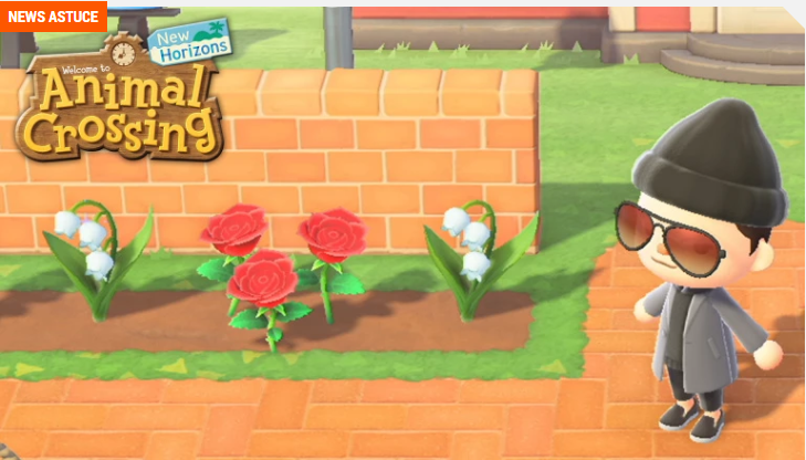 Animal Crossing : New Horizons – Avoir du muguet sur votre île ?