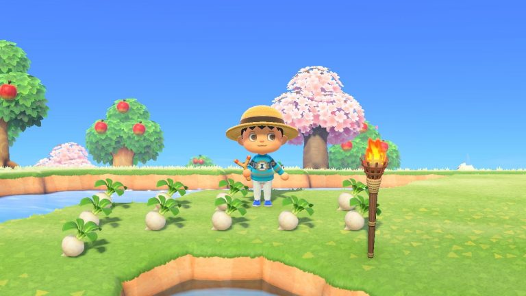 Animal Crossing : New Horizons – Attention aux voleurs de navets !!