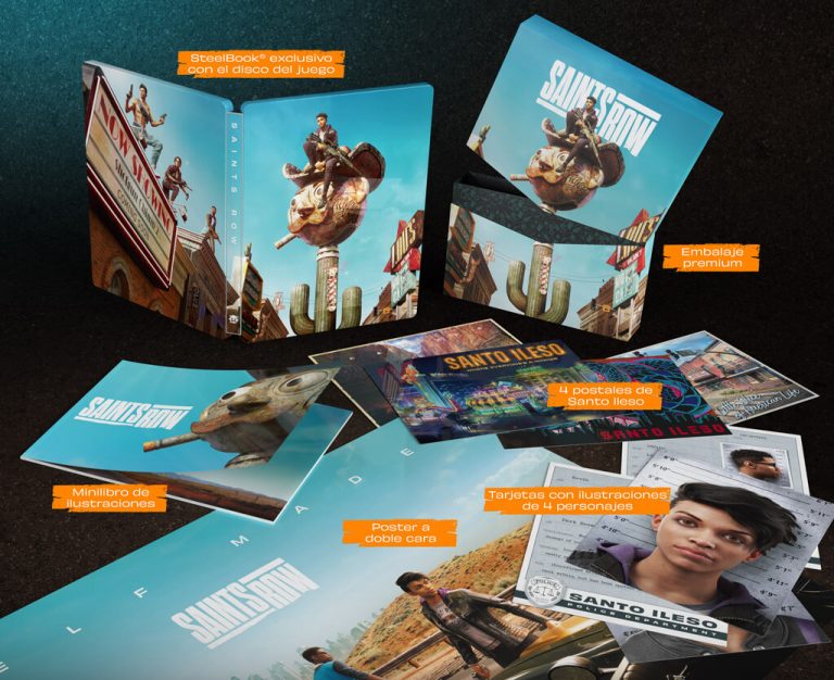 Saints Row – Notorious édition