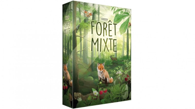 Exploration d&rsquo;un jeu de cartes captivant : Forêt Mixte !