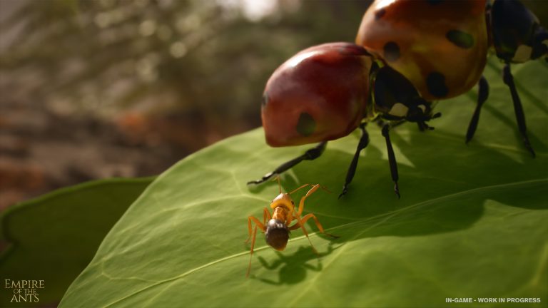 Révélation de Microids à la GDC 2024 : Un nouveau regard sur les Fourmis de Bernard Werber…