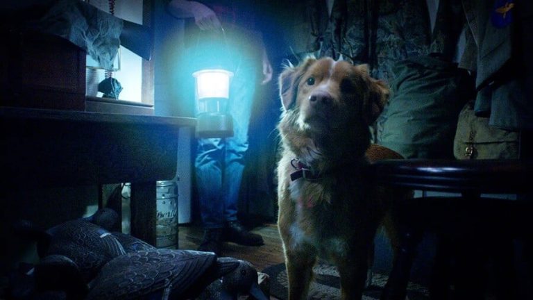 🐕 Good Boy : une bande-annonce d’horreur terrifiante vue par un chien