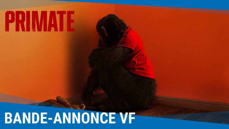 🦍 Primate : la bande-annonce du film d’horreur à pouces opposables