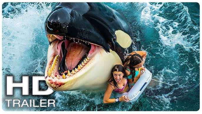 🐋 Killer Whale : la bande-annonce d’un survival marin sous haute tension