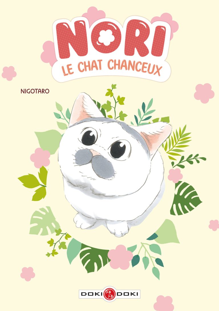 Nori, le chat chanceux : un adorable félin s’invite chez Doki-Doki pour Noël